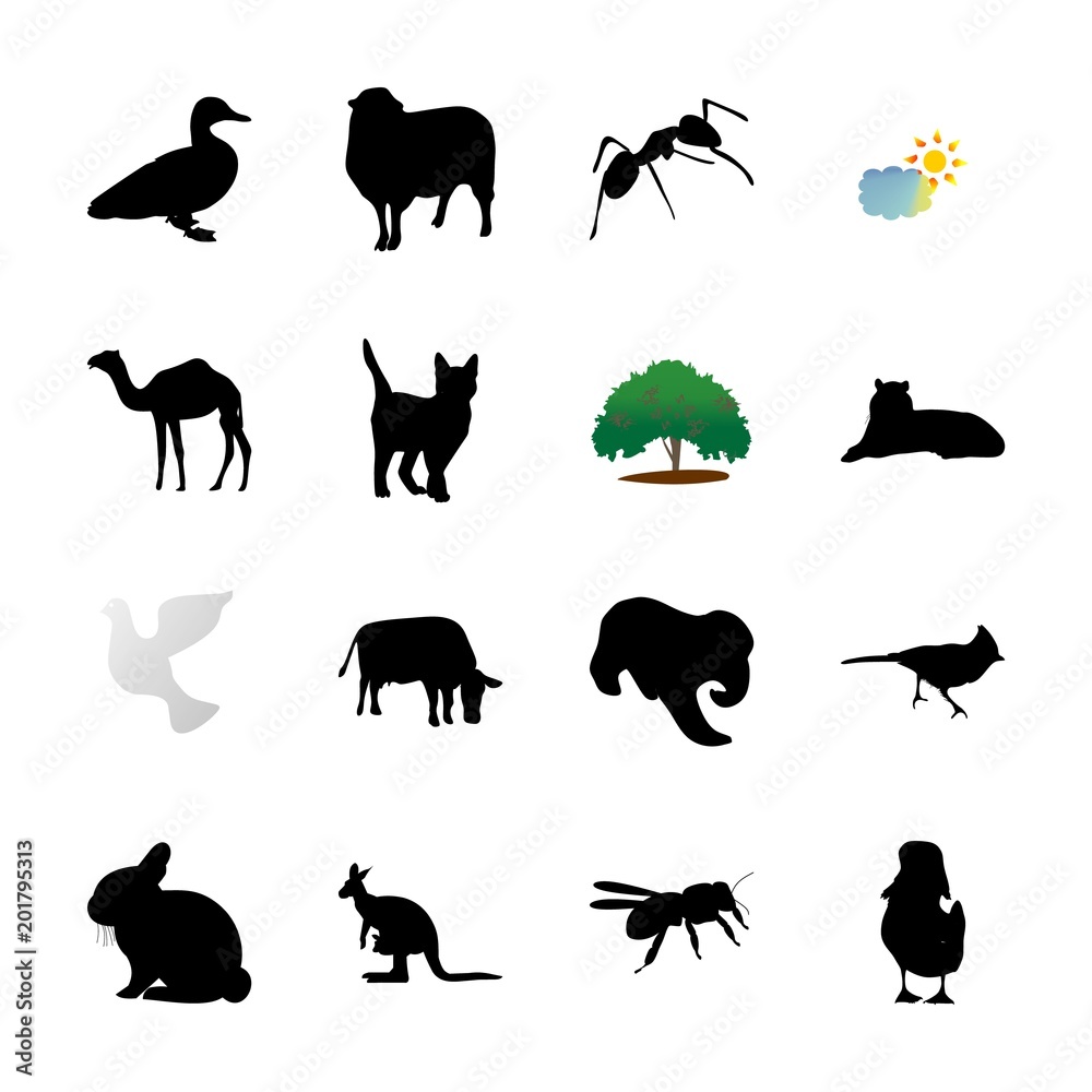 Obraz premium icon Animal with arabic, symbol, sun, pussycat and camel