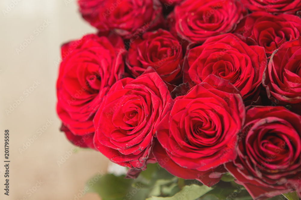 A bouquet of red roses closeup A bouquet of red roses closeup