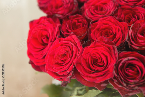 A bouquet of red roses closeup