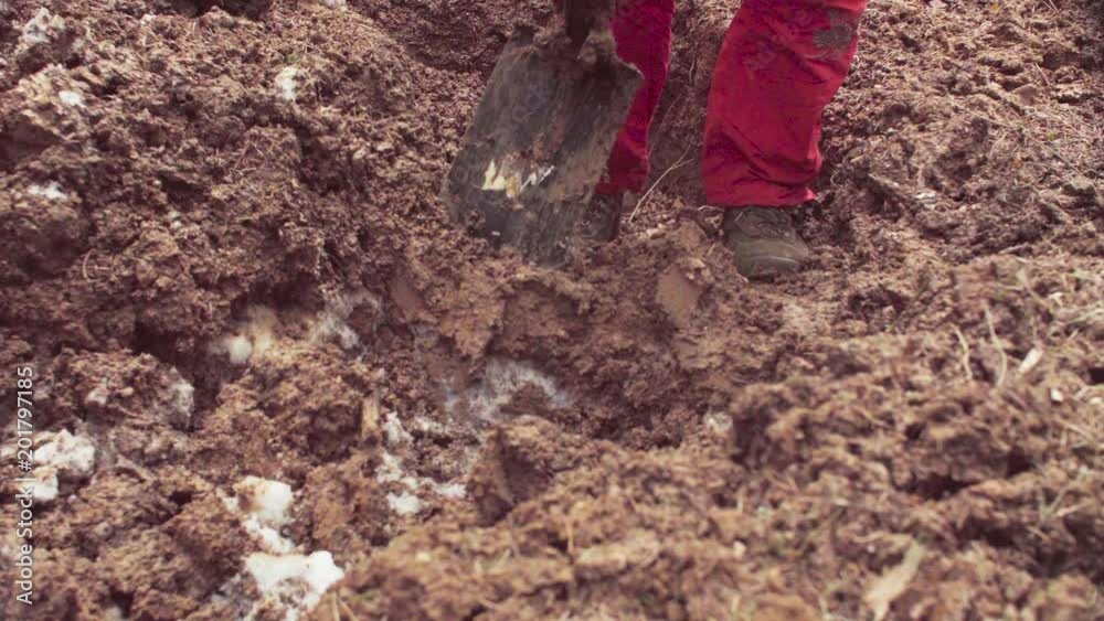 Close up woman's feet and shovel. Scientist ecologist in the forest digging a soil slit. Close up woman's feet and shovel. Scientist ecologist in the forest digging a soil slit.