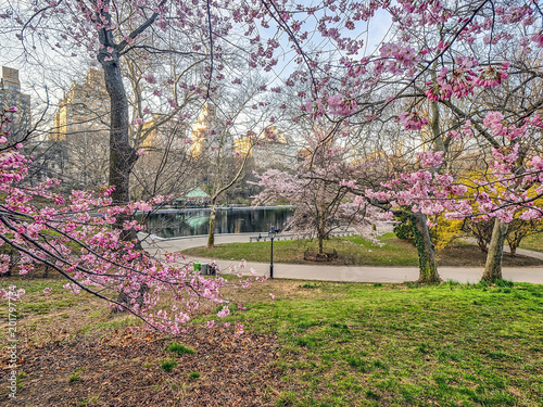 Central Park, New York City spring