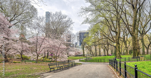 Fotografiet Central Park, New York City spring