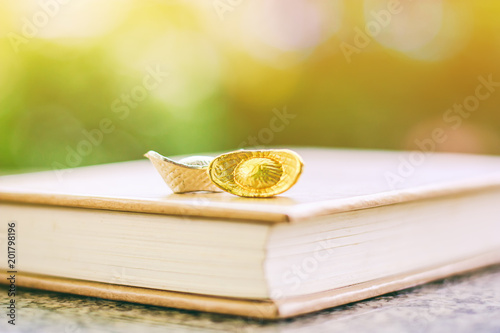 Chinese gold and silver syc...