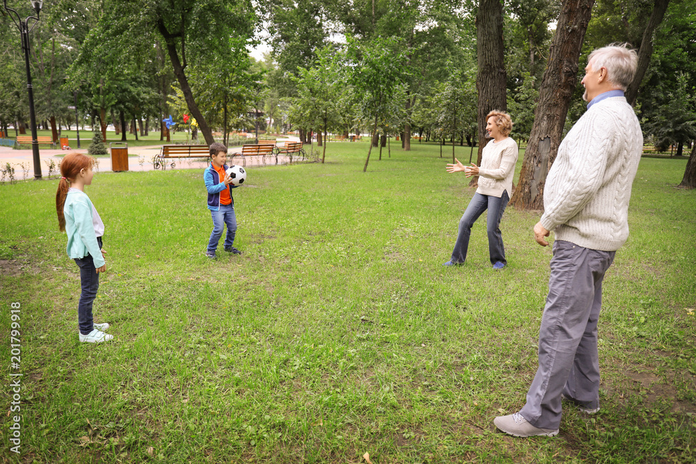 Senior man and woman playing with grandchildren in park Senior man and woman playing with grandchildren in park