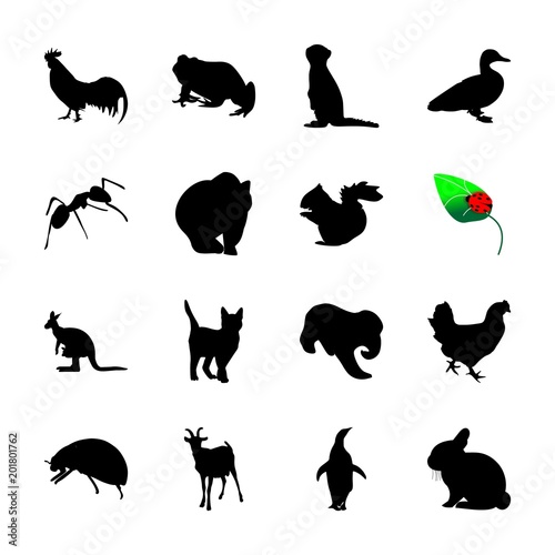 icon Animal with ladybird, wildlife, desing, pet and horn