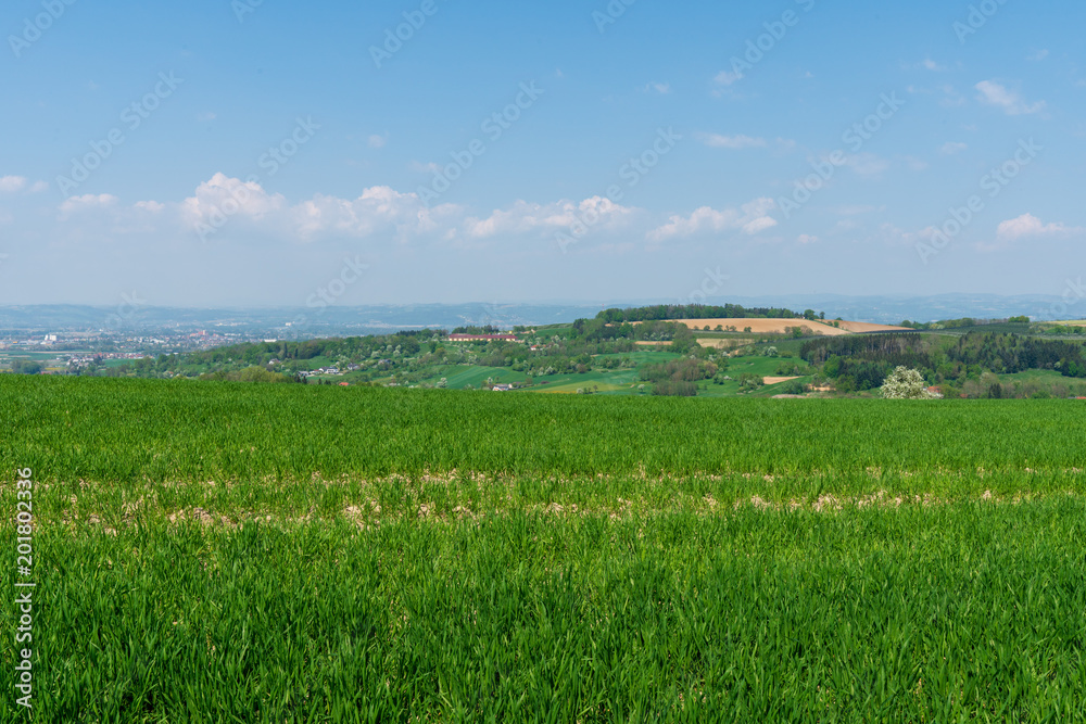 Fototapeta premium Hügellandschaft
