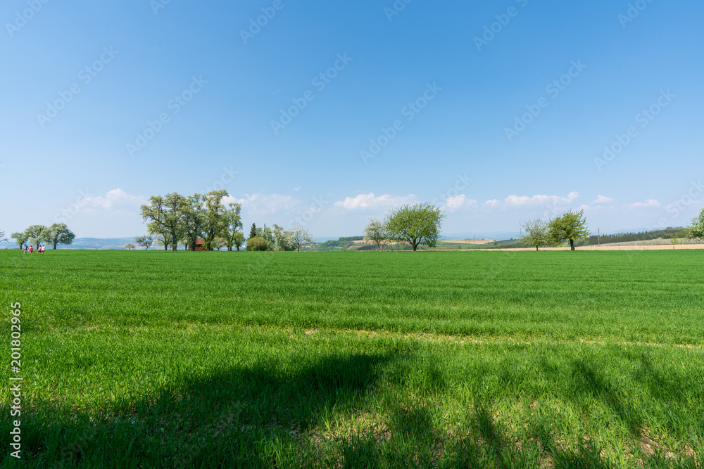 Hügellandschaft