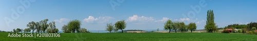 Hügellandschaft mit markanten Bäumen Panorama