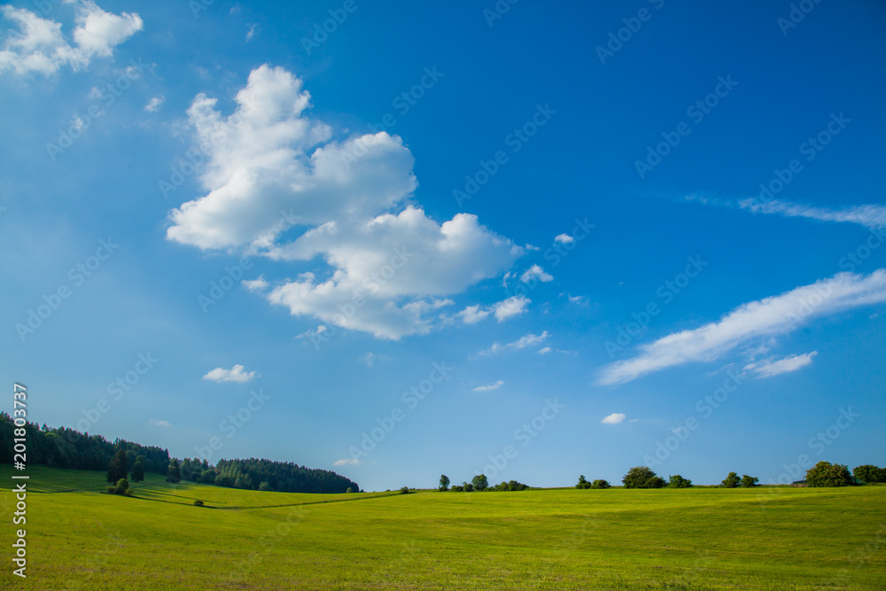 A beautiful green field or pasture on a warm summer day