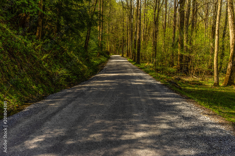 Fototapeta premium Potter's Creek Trail