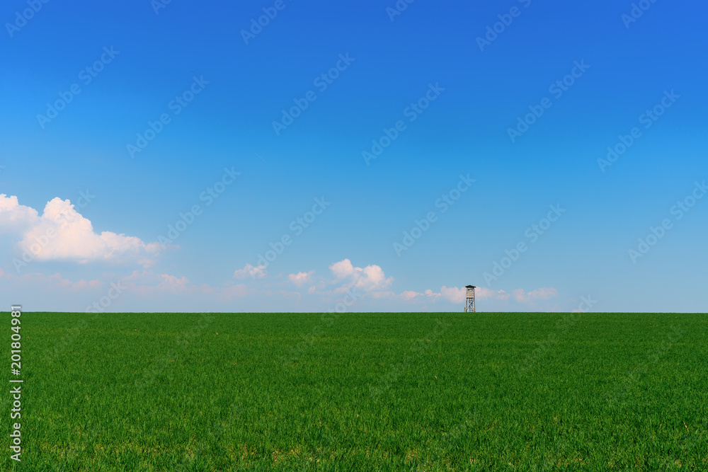markanter Hochsitz im grünen Gras mit  sanften Wolken