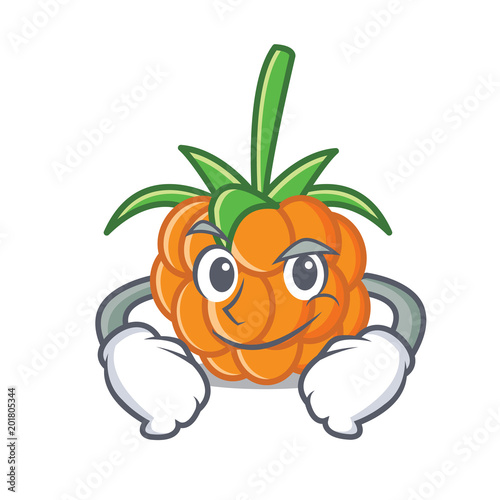 Smirking cloudberry character cartoon style