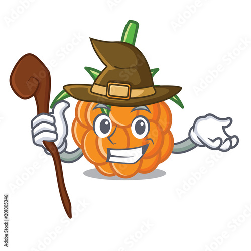 Witch cloudberry mascot cartoon style