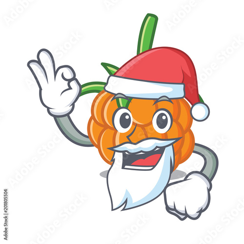 Santa cloudberry mascot cartoon style