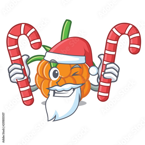 Santa with candy cloudberry mascot cartoon style