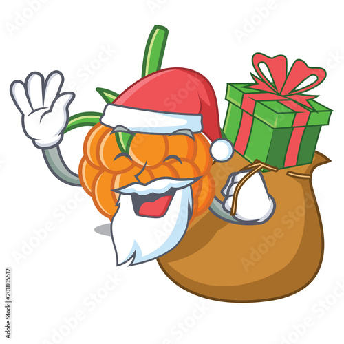 Santa with gift cloudberry mascot cartoon style