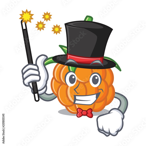 Magician cloudberry mascot cartoon style