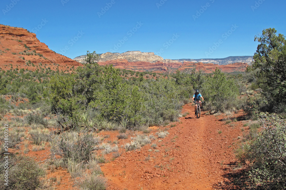 Mountain biker in the red rocks, Sedona, Arizona, USA