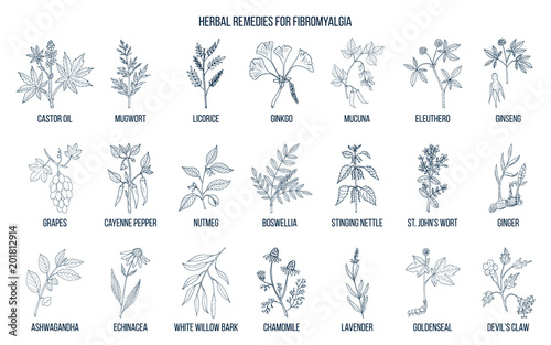 Best medicinal herbs for fibromyalgia