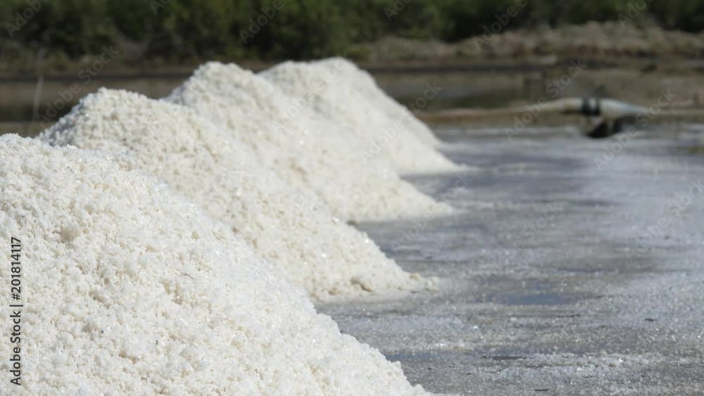 Salt field. The raw white salt field on a sunny day. Royalty high-quality free stock video footage of white salt field in a beach village. Salt is an important food for people Salt field. The raw white salt field on a sunny day. Royalty high-quality free stock video footage of white salt field in a beach village. Salt is an important food for people
