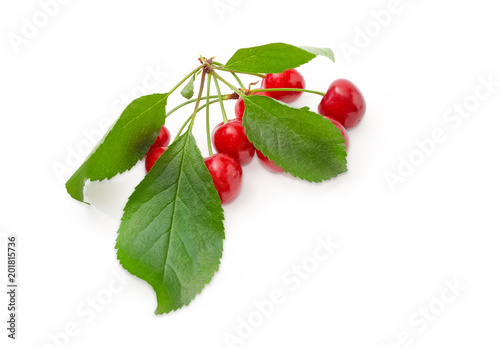 Cherries with leaves on a white background