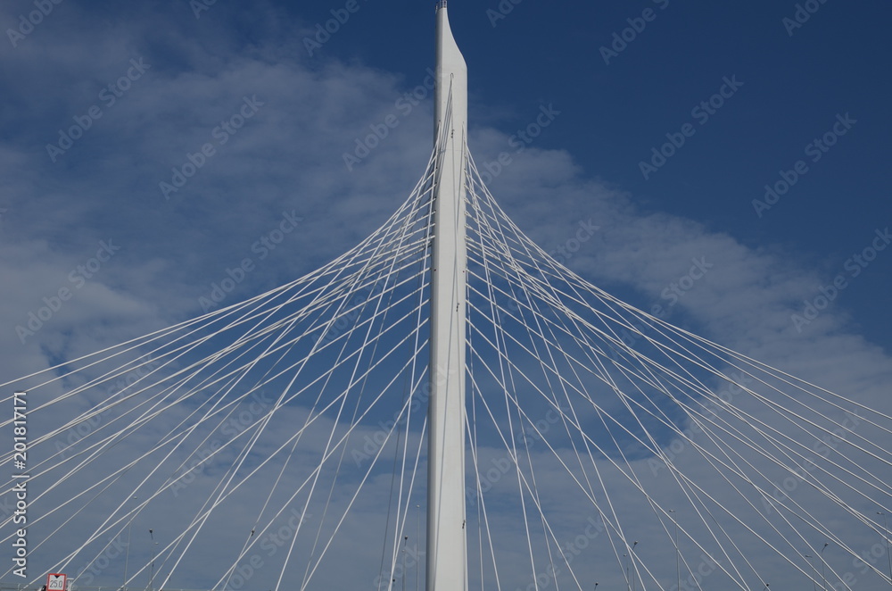 Fototapeta premium lato