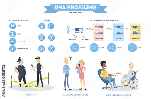 DNA infographic illustration.