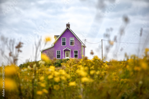 Purple house and yellow flowers