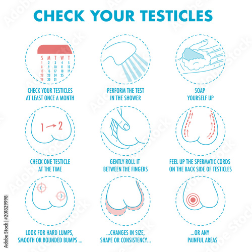 Testicles self exam. Testicle cancer symptoms and monthly examination infographics. Vector icon set.I Illustration for flyers, brochures, web resources, health centers.
