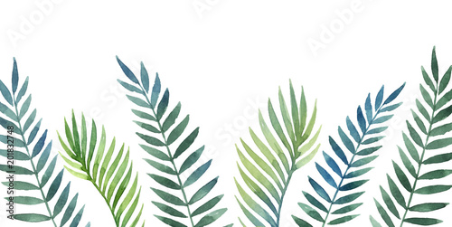 Watercolor vector banner tropical leaves and branches isolated on white background.