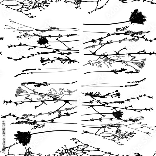 Meadow grasses, herbs and flowers outlines vector seamless pattern.