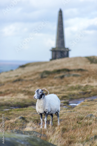 stoodley pike mounument calderdale