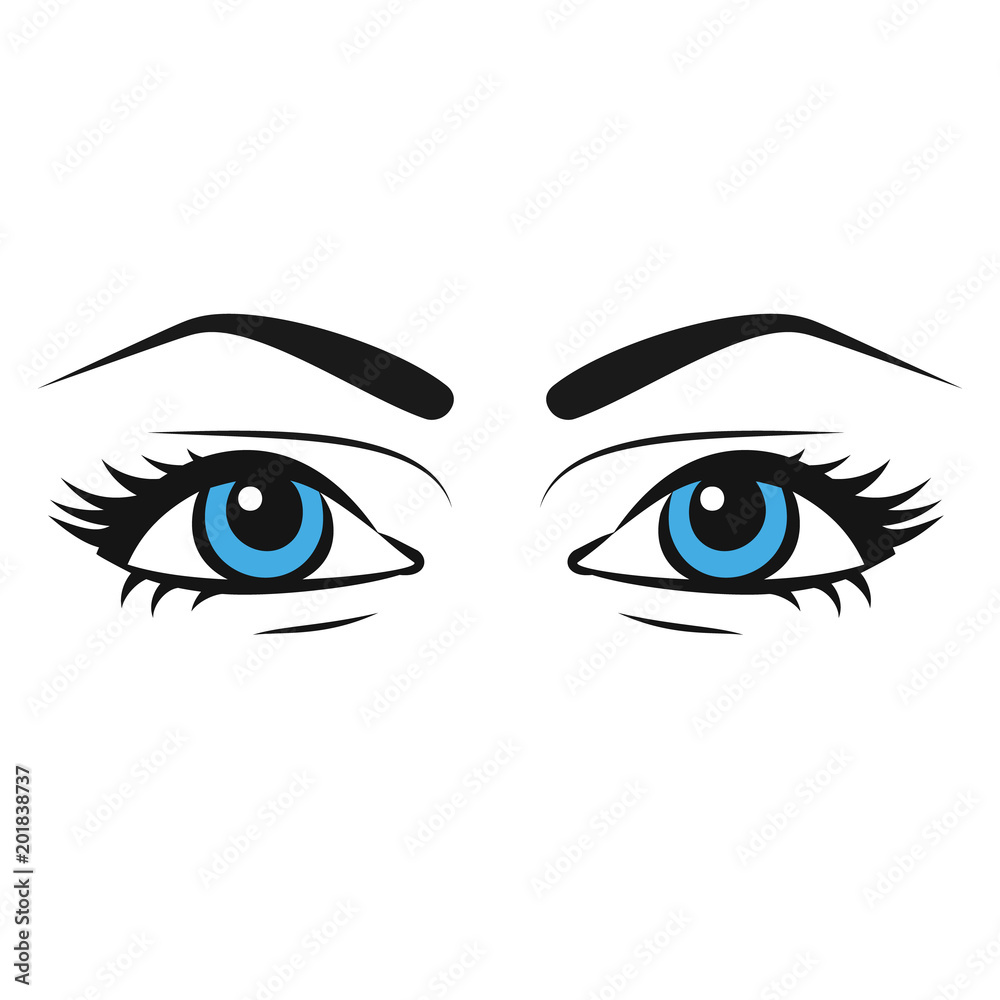 Female eyes. Beautiful painted woman eyes in sketch style. Veki eyebrow drawing by hand. Vector illustration flat design. Isolated on white background.