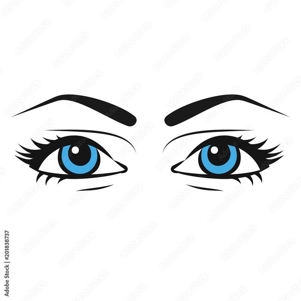 Female eyes. Beautiful painted woman eyes in sketch style. Veki eyebrow drawing by hand. Vector illustration flat design. Isolated on white background. Female eyes. Beautiful painted woman eyes in sketch style. Veki eyebrow drawing by hand. Vector illustration flat design. Isolated on white background.