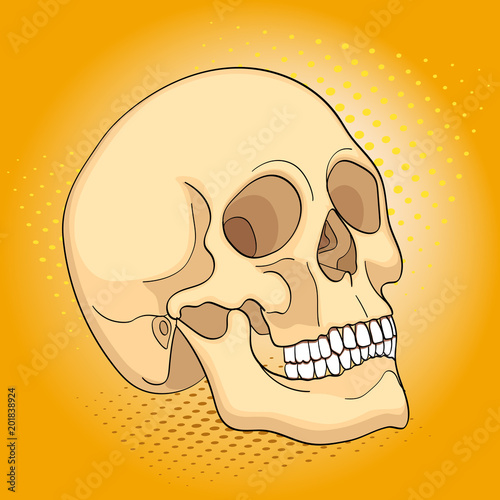 Pop art medical objects human skull. Comic book style imitation
