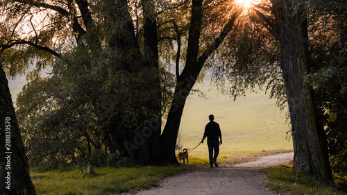 Man and dog, Young man with his dog in nature in autumn, Silhouette of man and dog walking on sunset background, Walk for mental health © marvlc