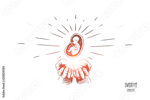 Embryo concept. Hand drawn hands with embryo. Symbol of protection of motherhood isolated vector illustration.