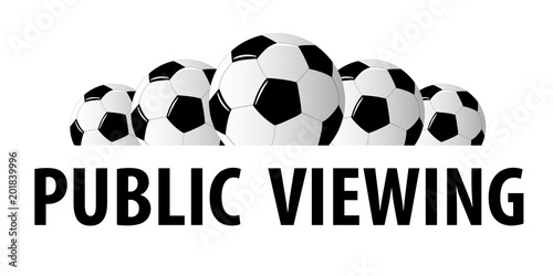 Fußball - Soccer - 248