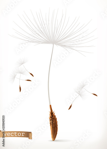 Dandelion seeds, 3d vector icon