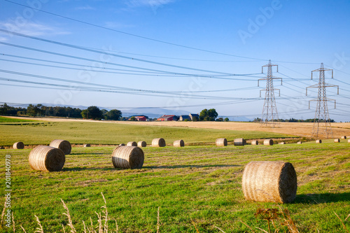 Summer rural landscape with silage bales on a field in Scotland UK