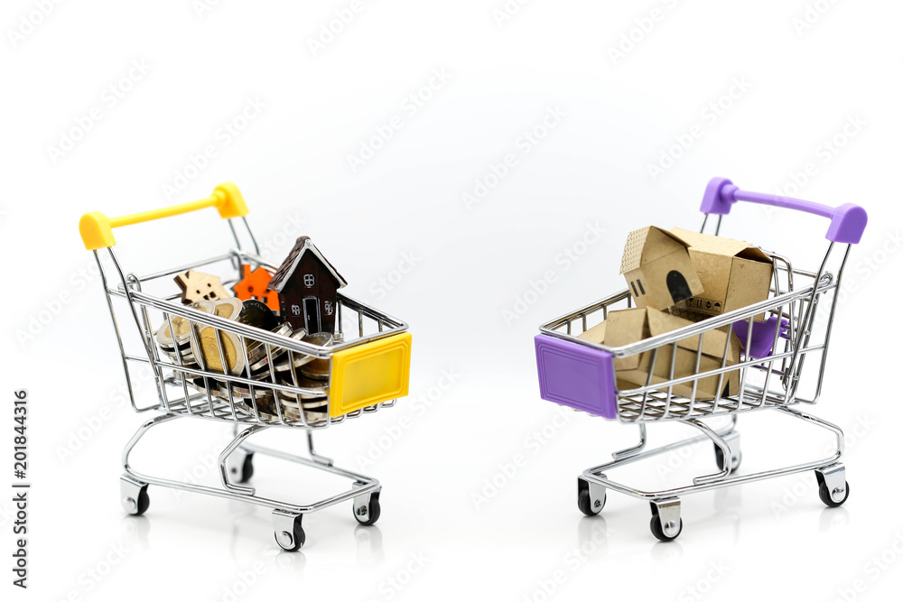 Shopping cart with coins and mini house,Business shopping concept.