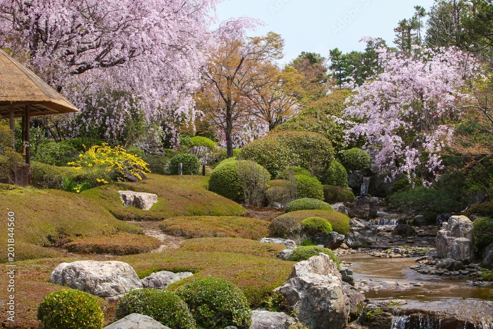 春の日本庭園