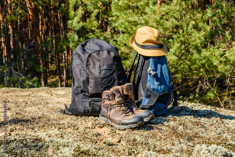 Two backpacks, touristic boots and hat on a ground in a coniferous forest