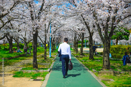 ビジネスマンと桜のトンネル © beeboys