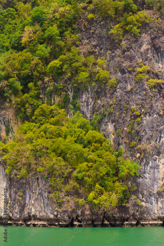 Monumentally rock reliefs thai stone texture with green plants, NATIONAL PARK, Phang Nga Bay, Thailand. Texture of big limestone cliffs. Monumentally rock reliefs thai stone texture with green plants, NATIONAL PARK, Phang Nga Bay, Thailand. Texture of big limestone cliffs.