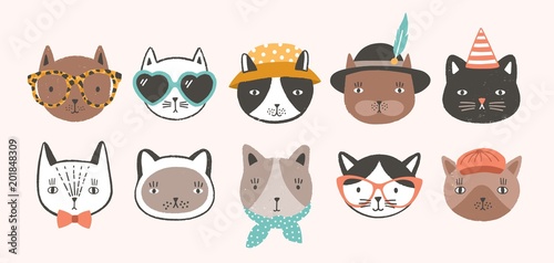 Collection of cute funny cat faces or heads wearing glasses, sunglasses and hats. Bundle of various cartoon animal muzzles isolated on light background. Colorful hand drawn vector illustration.