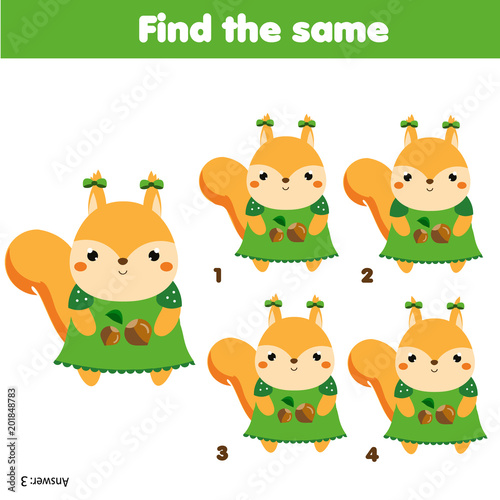 Find the same pictures children educational game. Animals theme activity for kids with cartoon squirrel