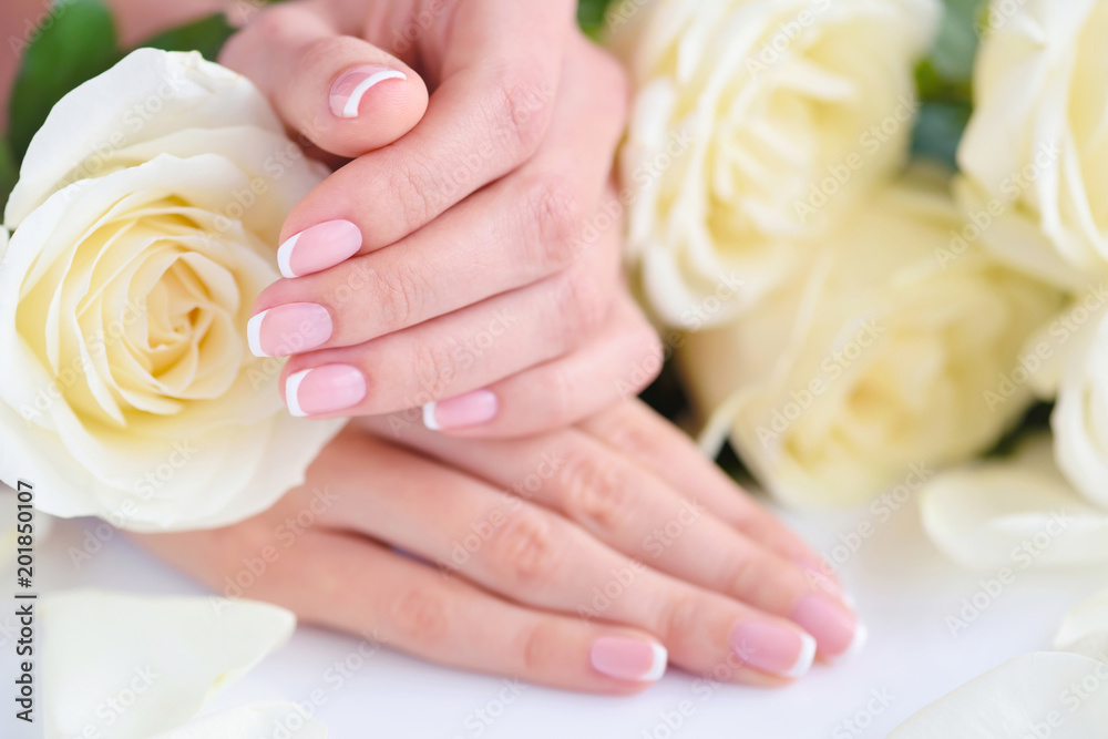 Hands of a woman with beautiful french manicure and white roses Hands of a woman with beautiful french manicure and white roses