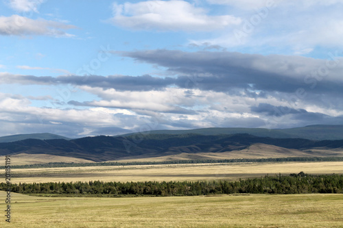 Wide steppe with yellow grass under a blue sky with white clouds Sayan mountains Siberia Russia