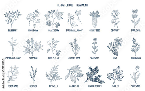 Collection of natural herbs for gout treatment